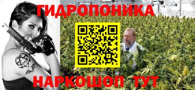 mdpv Кингисепп