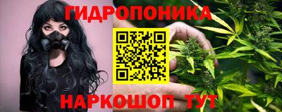 прущие крисы Кимры