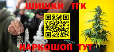 стафф Кинель