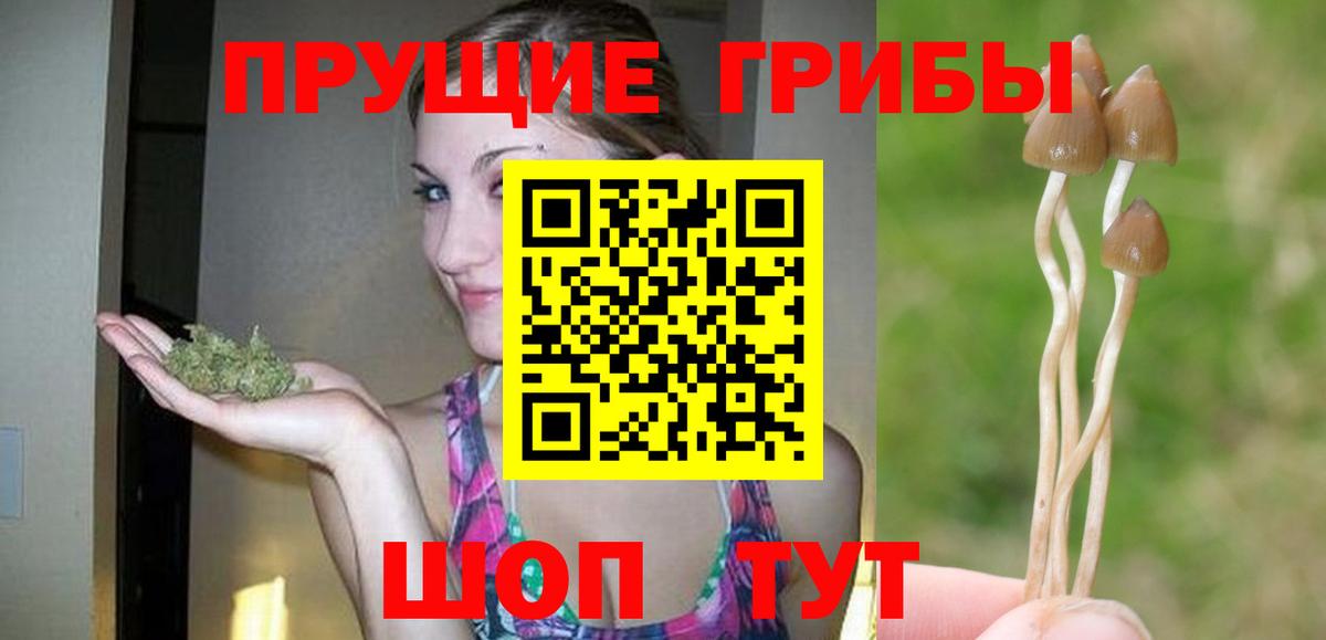 Псилоцибиновые грибы мицелий  наркотики  Вход с VPN  Костомукша  Галлюциногенные грибы мицелий 